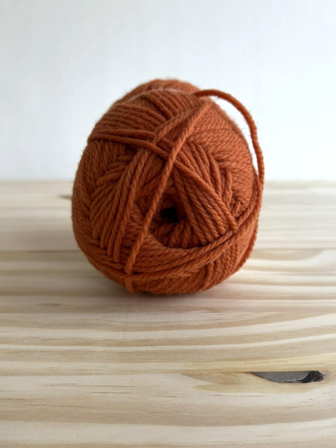 Pumpkin orange wool yarn - Brown Sheep Nature Spun - 17 French Clay