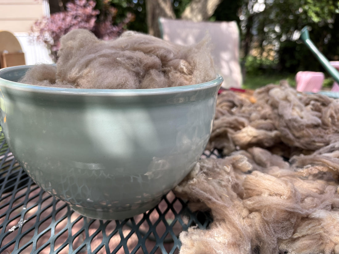 From sheep to sweater: how to make American wool yarn - thespinninghand