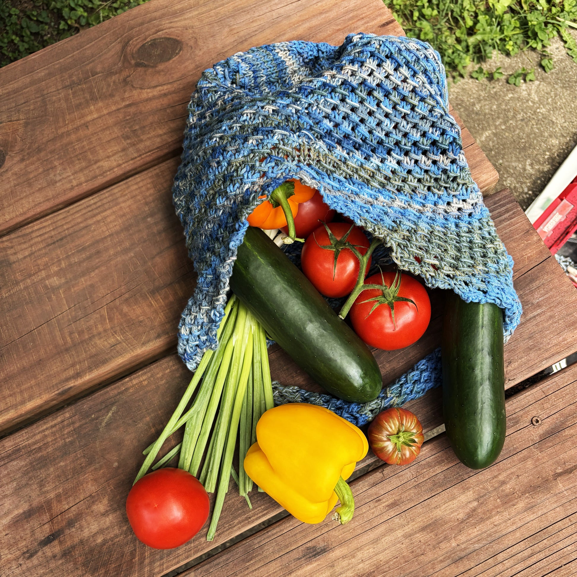 Garden Tote knitting kit - advanced beginner level knitting pattern - thespinninghand