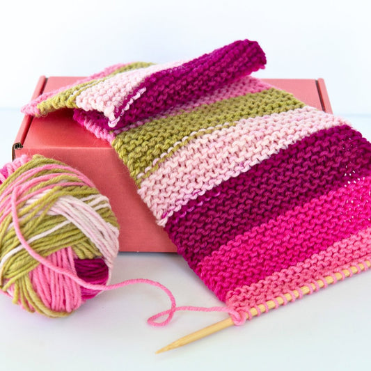 Learn to Knit Scarf Kit for Beginners | Dragonfruit - thespinninghand