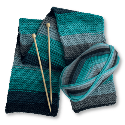 Learn to Knit Scarf Kit for Beginners | Nebula - thespinninghand