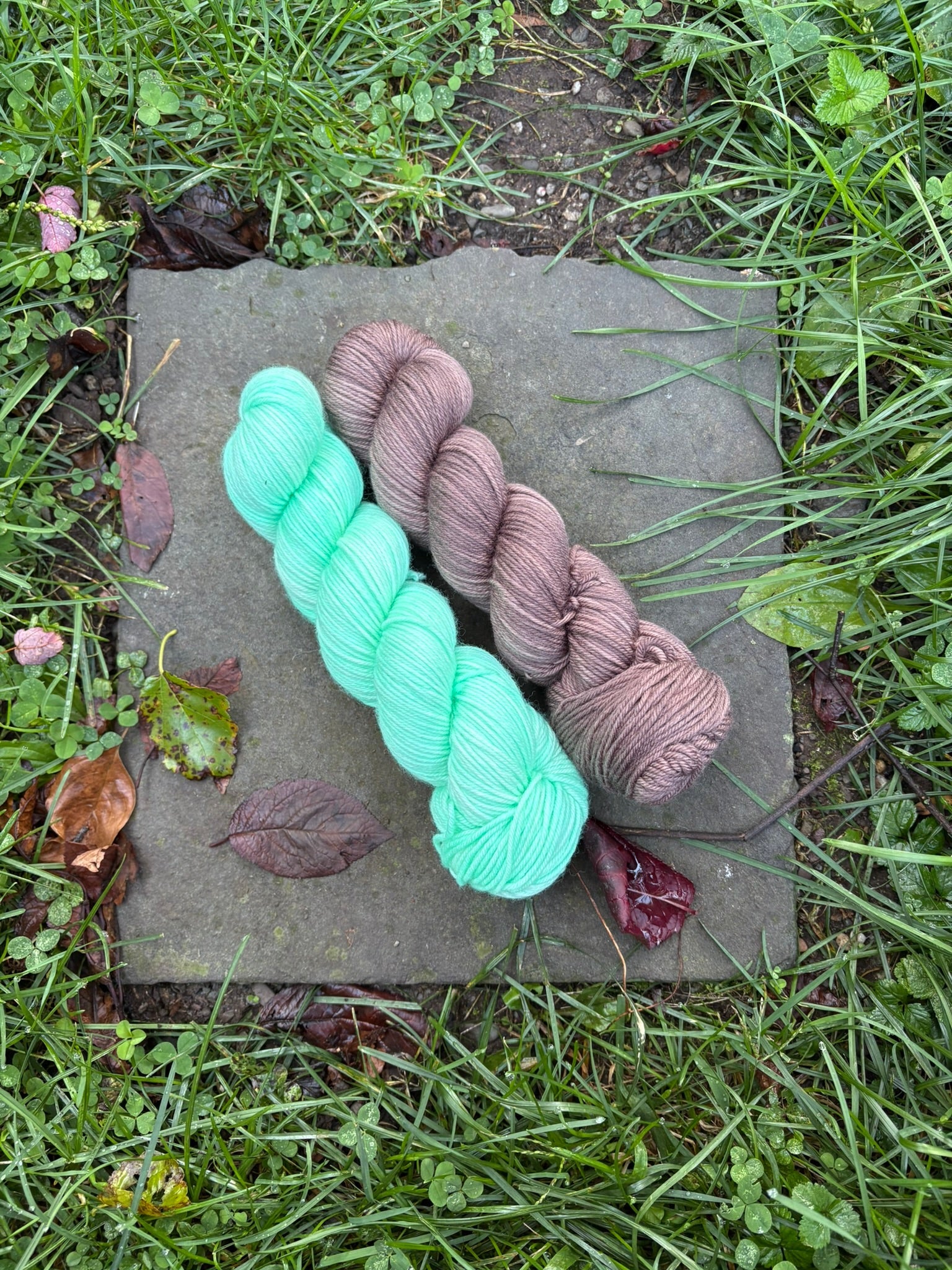 Luxe Apothecary Hand Dyed Yarn Knitting Kit - colorwork fantasy - thespinninghand