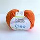 Orange Conway + Bliss Cleo yarn - 98 yards per skein - Aran weight yarn - thespinninghand