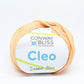 Peach Cleo yarn - color 05 Just Peachy - Conway and Bliss - 98 yards - thespinninghand
