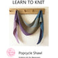 PREORDER Popcycle Shawl Kit — Easy Shawl Pattern, Light Bamboo Yarn - thespinninghand