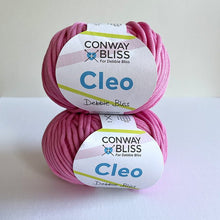 Load image into Gallery viewer, Conway and Bliss Cleo Yarn - thespinninghand
