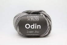 Load image into Gallery viewer, Conway and Bliss Odin Yarn - thespinninghand
