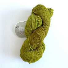 Load image into Gallery viewer, Ella Rae Lace Merino - thespinninghand
