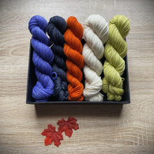 Load image into Gallery viewer, Mini Skein Club Monthly Subscription - thespinninghand
