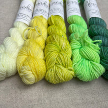 Load image into Gallery viewer, Mini Skein Club Monthly Subscription - Alexandra The Art of Yarn - thespinninghand
