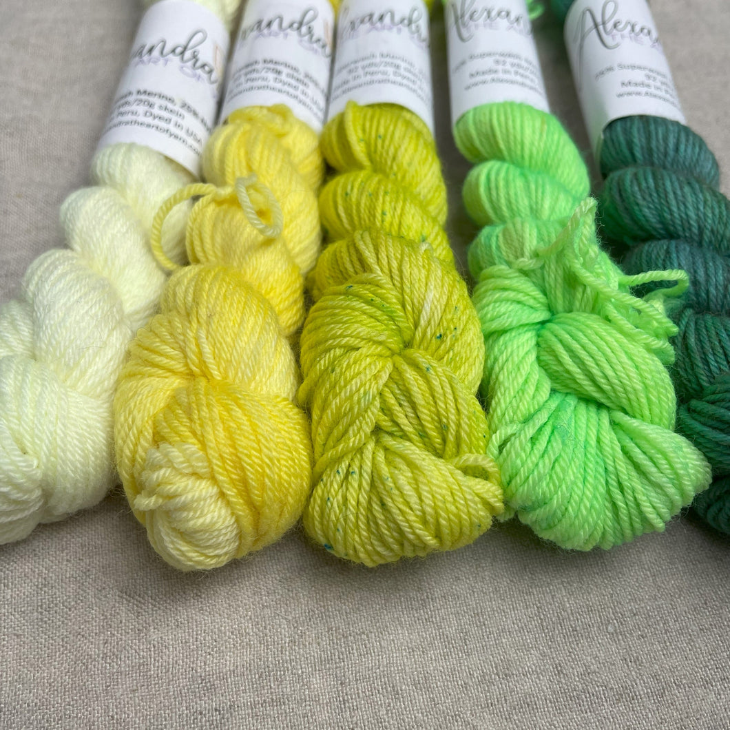 Mini Skein Club Monthly Subscription - Alexandra The Art of Yarn - thespinninghand